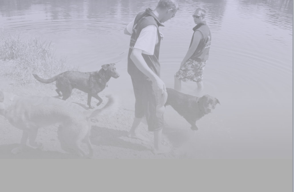 Urlaub mit dem Hund