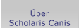 ber Scholaris Canis
