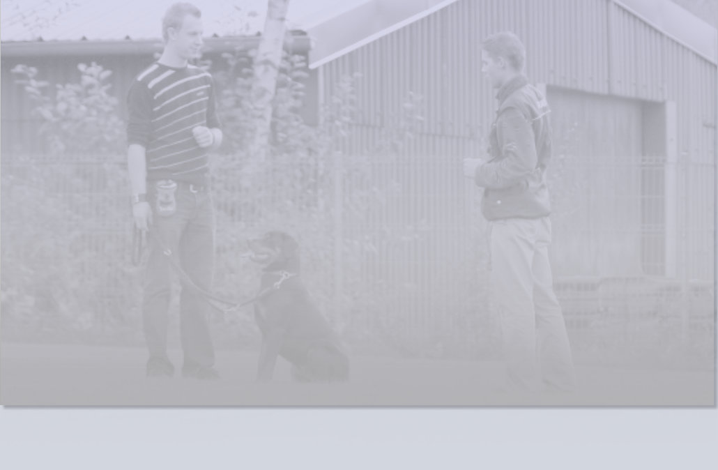 Individualtraining