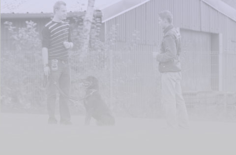 Individualtraining
