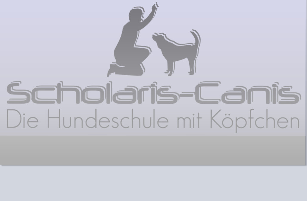 Die Hundeschule in Villingen Schwenningen
