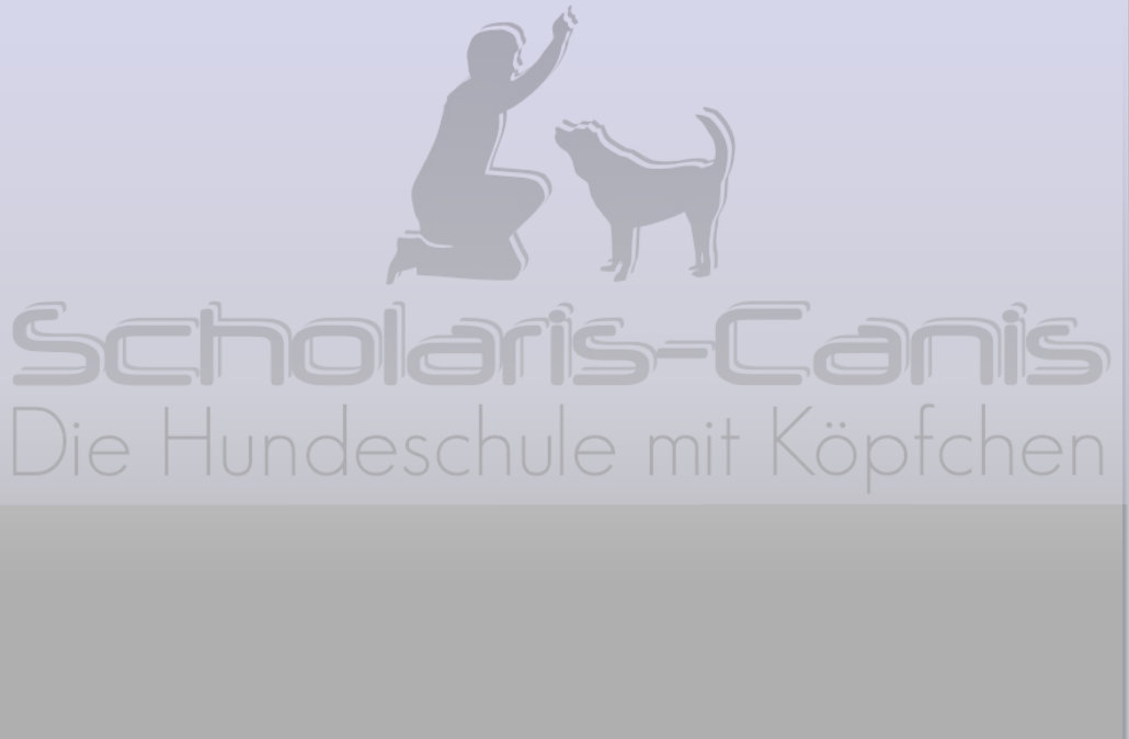 Die Hundeschule mit Kpfchen in Villingen Schwenningen