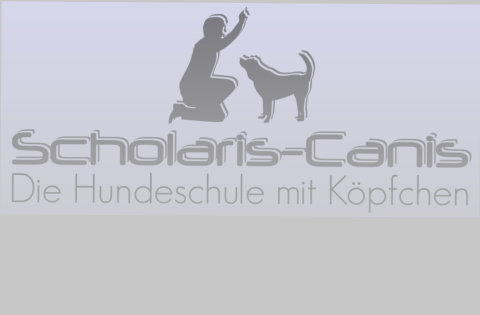 Die Hundeschule in Villingen Schwenningen